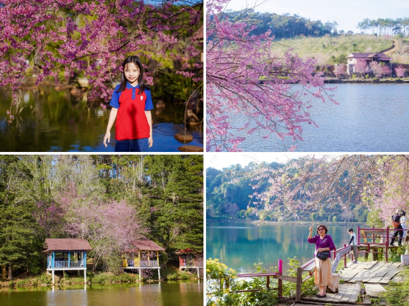 Hồ Đăk Ke Măng Đen chèo SUP Hồ Đăk Ke Măng Đen chèo SUP