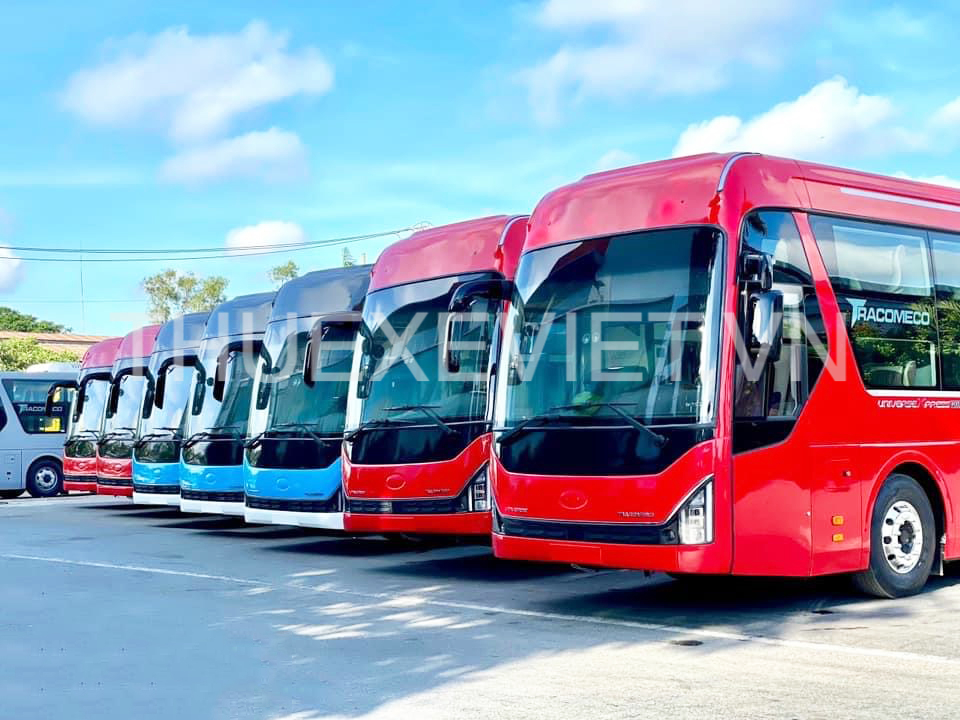 Rừng thông Măng Đen